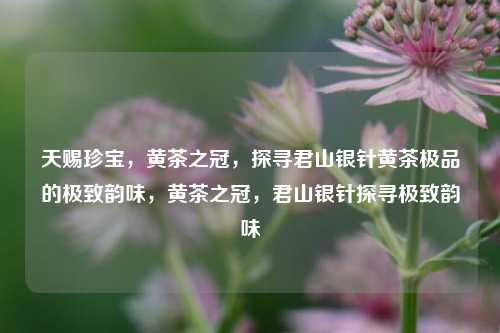 天赐珍宝，黄茶之冠，探寻君山银针黄茶极品的极致韵味，黄茶之冠，君山银针探寻极致韵味