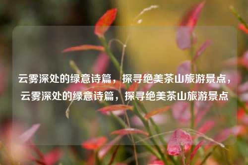 云雾深处的绿意诗篇，探寻绝美茶山旅游景点，云雾深处的绿意诗篇，探寻绝美茶山旅游景点
