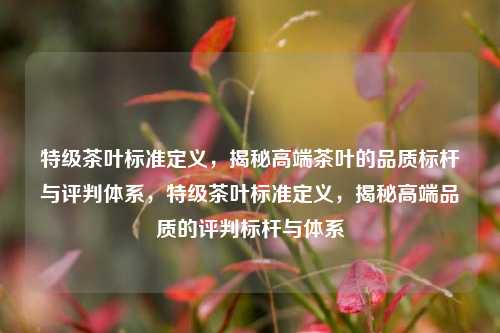 特级茶叶标准定义，揭秘高端茶叶的品质标杆与评判体系，特级茶叶标准定义，揭秘高端品质的评判标杆与体系