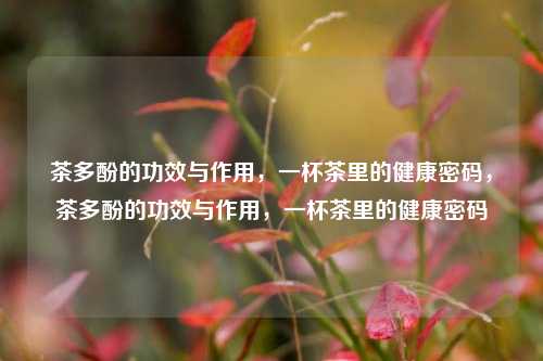 茶多酚的功效与作用，一杯茶里的健康密码，茶多酚的功效与作用，一杯茶里的健康密码