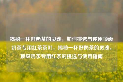 揭秘一杯好奶茶的灵魂，如何挑选与使用顶级奶茶专用红茶茶叶，揭秘一杯好奶茶的灵魂，顶级奶茶专用红茶的挑选与使用指南