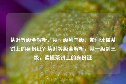 茶叶等级全解析，从一级到三级，如何读懂茶饼上的身份证？茶叶等级全解析，从一级到三级，读懂茶饼上的身份证