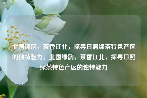 北国绿韵，茶香江北，探寻日照绿茶特色产区的独特魅力，北国绿韵，茶香江北，探寻日照绿茶特色产区的独特魅力