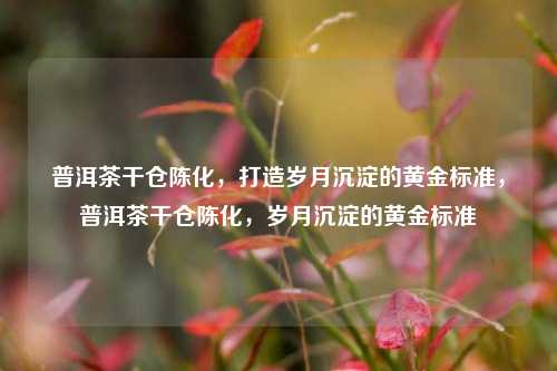 普洱茶干仓陈化，打造岁月沉淀的黄金标准，普洱茶干仓陈化，岁月沉淀的黄金标准