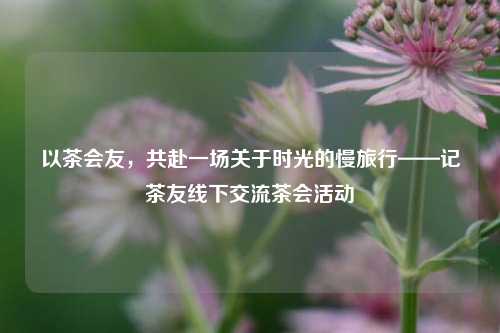 以茶会友，共赴一场关于时光的慢旅行——记茶友线下交流茶会活动
