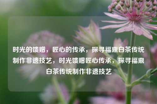 时光的馈赠，匠心的传承，探寻福鼎白茶传统制作非遗技艺，时光馈赠匠心传承，探寻福鼎白茶传统制作非遗技艺
