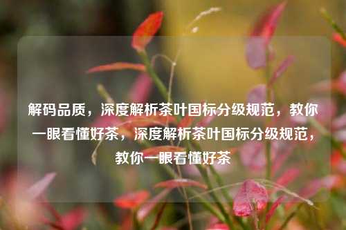 解码品质，深度解析茶叶国标分级规范，教你一眼看懂好茶，深度解析茶叶国标分级规范，教你一眼看懂好茶