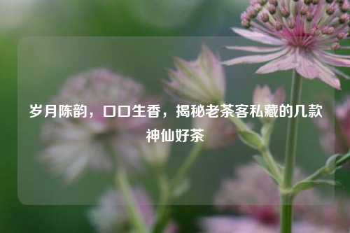 岁月陈韵，口口生香，揭秘老茶客私藏的几款神仙好茶