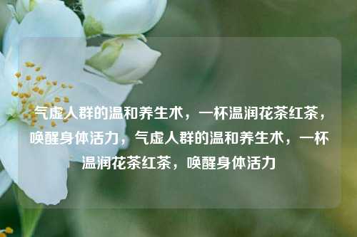 气虚人群的温和养生术，一杯温润花茶红茶，唤醒身体活力，气虚人群的温和养生术，一杯温润花茶红茶，唤醒身体活力