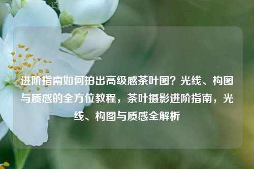 进阶指南如何拍出高级感茶叶图？光线、构图与质感的全方位教程，茶叶摄影进阶指南，光线、构图与质感全解析
