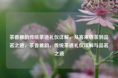 茶香雅韵传统茶道礼仪详解，从客来敬茶到品茗之道，茶香雅韵，传统茶道礼仪详解与品茗之道