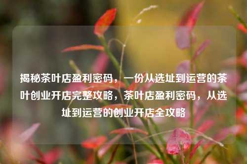 揭秘茶叶店盈利密码，一份从选址到运营的茶叶创业开店完整攻略，茶叶店盈利密码，从选址到运营的创业开店全攻略