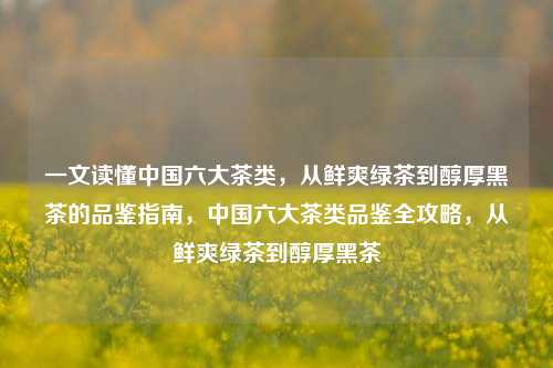 一文读懂中国六大茶类，从鲜爽绿茶到醇厚黑茶的品鉴指南，中国六大茶类品鉴全攻略，从鲜爽绿茶到醇厚黑茶