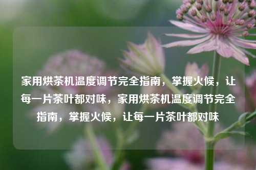 家用烘茶机温度调节完全指南，掌握火候，让每一片茶叶都对味，家用烘茶机温度调节完全指南，掌握火候，让每一片茶叶都对味