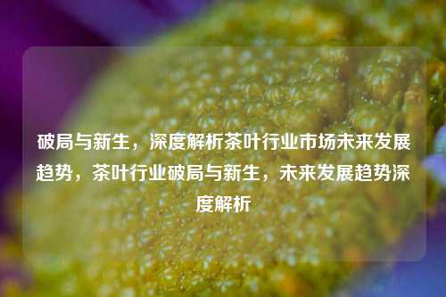破局与新生，深度解析茶叶行业市场未来发展趋势，茶叶行业破局与新生，未来发展趋势深度解析