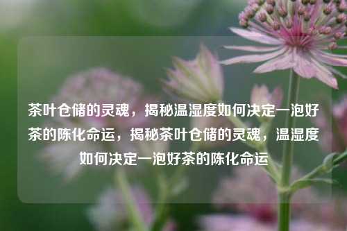 茶叶仓储的灵魂，揭秘温湿度如何决定一泡好茶的陈化命运，揭秘茶叶仓储的灵魂，温湿度如何决定一泡好茶的陈化命运